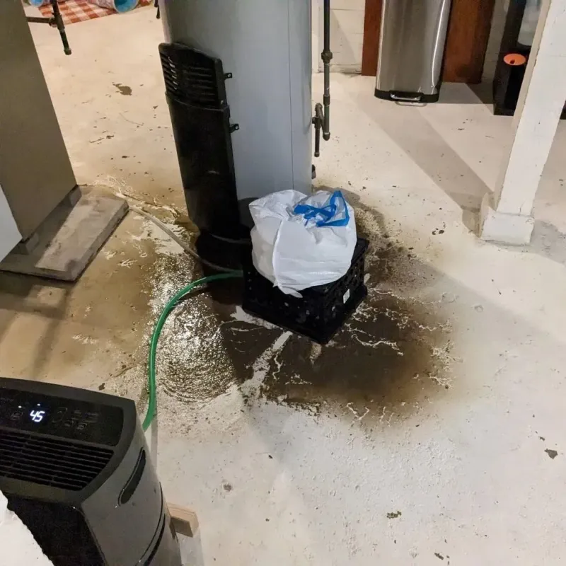 Sewage Backup Cleanup Service in Barker Heights, NC